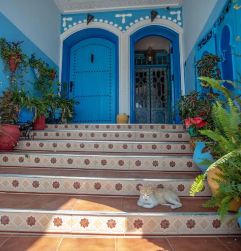 Perfect Hotel in Chefchaouen